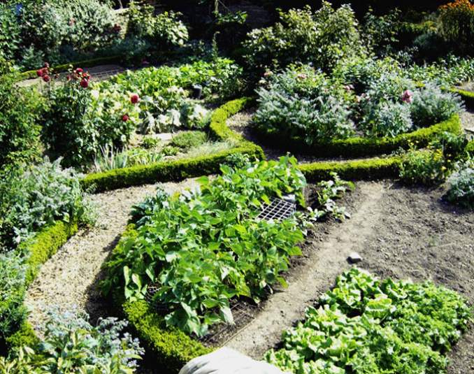 Komposteinsatz im Bauerngarten